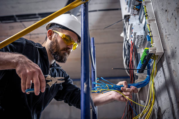 Best Electric Panel Repair  in Tishomingo, OK